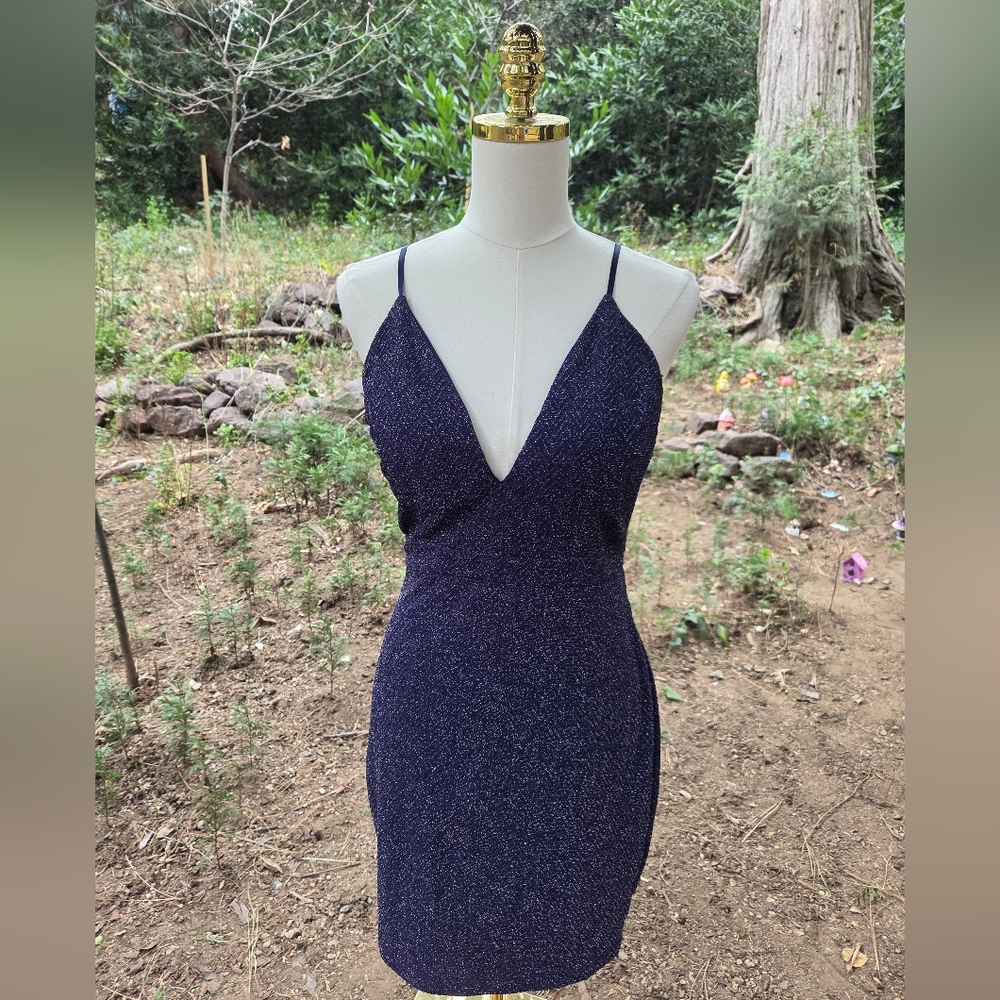 Emerald Sundae Navy Sparkly Lace‎ Back Dress